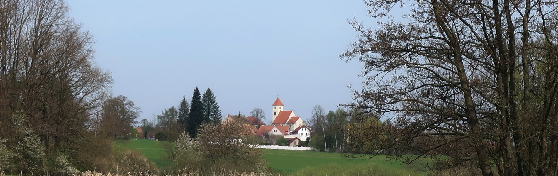 Měnič obrázků - fotografie